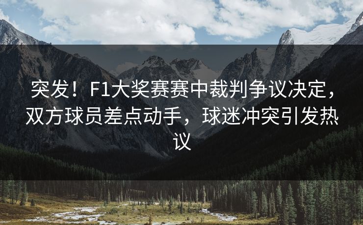 突发！F1大奖赛赛中裁判争议决定，双方球员差点动手，球迷冲突引发热议