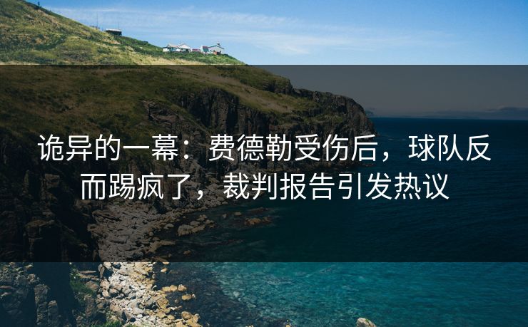 诡异的一幕：费德勒受伤后，球队反而踢疯了，裁判报告引发热议