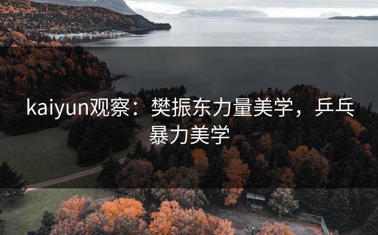 kaiyun观察：樊振东力量美学，乒乓暴力美学